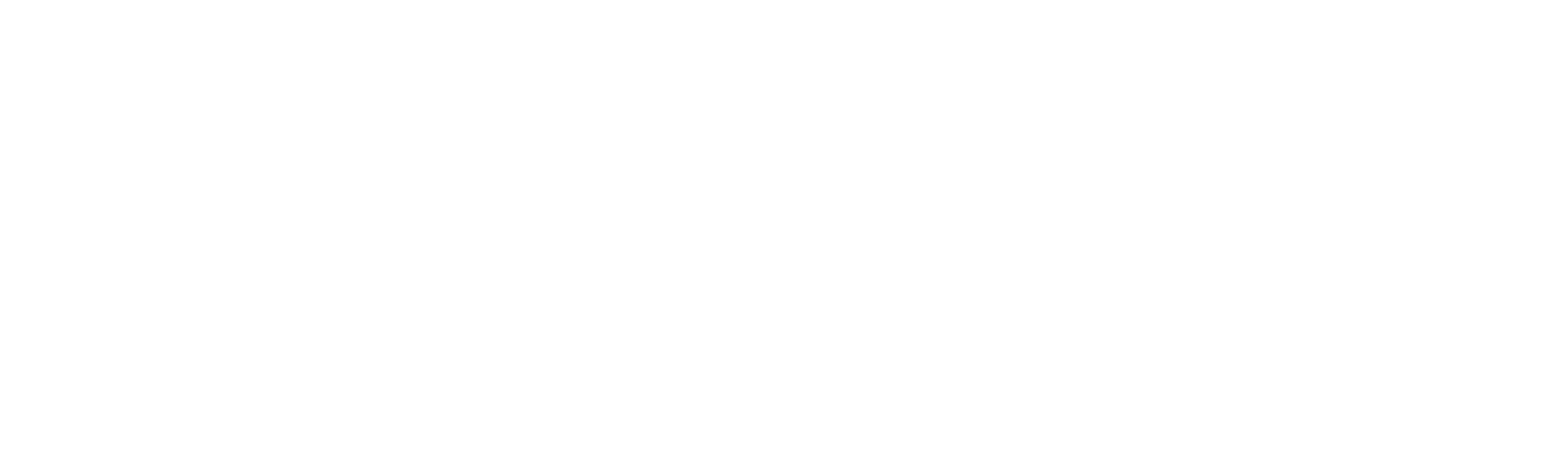 IMMEF
